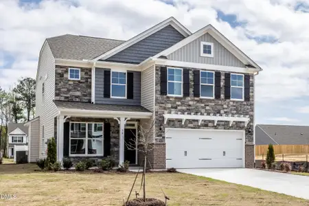 New construction Single-Family house 56 Flannel Ct, Unit 251, Benson, NC 27504 - image
