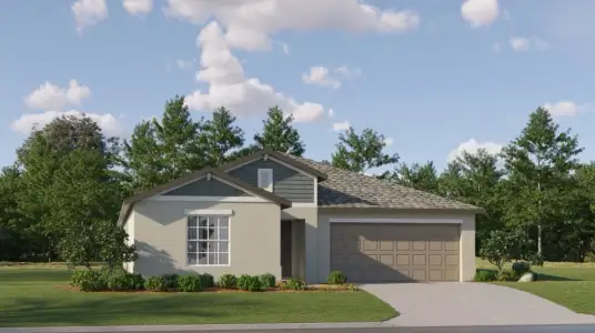 New construction Single-Family house 22503 Aperture Wy, Land O' Lakes, FL 34637 plan Hartford - image