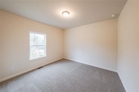 New construction Single-Family house 6220 Carlys Wy, Gainesville, GA 30506 - image 14