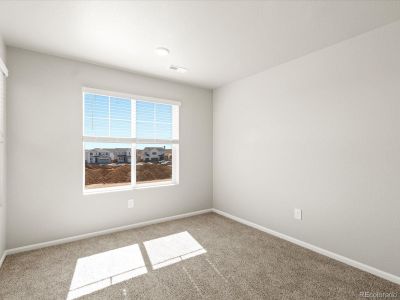 New construction Single-Family house 4659 Goldflower Dr, Johnstown, CO 80534 The Monarch- photo 35 35