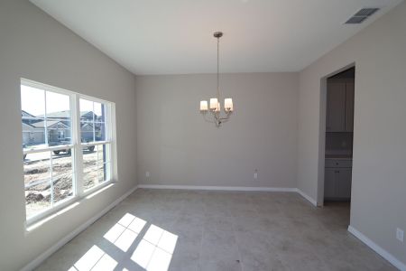 New construction Single-Family house 9489 Seagrass Port Pass, Wesley Chapel, FL 33545 Alenza- photo 39 39