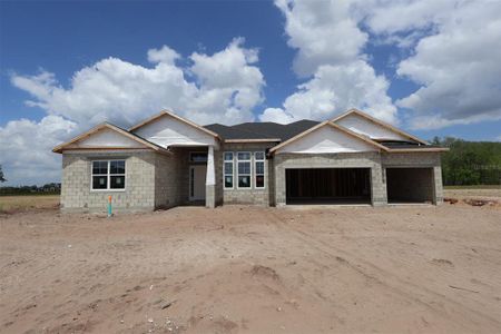New construction Single-Family house 3053 Solace Wy, Orlando, FL 32820 plan San Marino II Fl - image