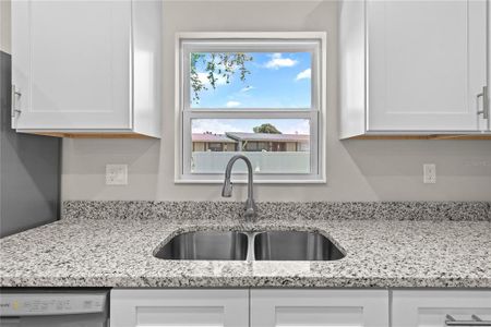 New construction Single-Family house 5013 Finders Ct, Tampa, FL 33617 - image 17