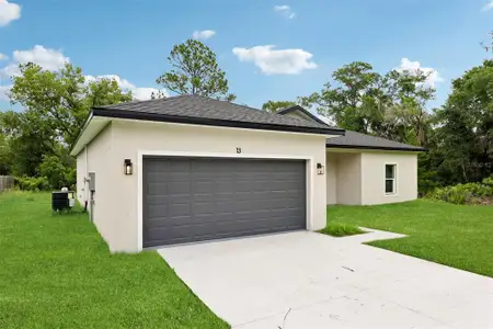 New construction Single-Family house 13 Malauka Radial Dr, Ocklawaha, FL 32179 - image