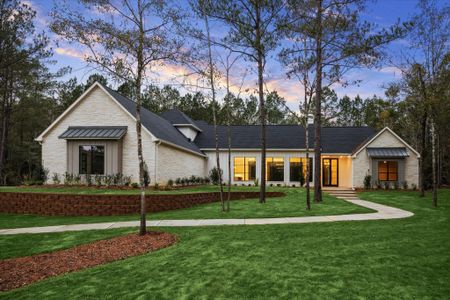 New construction Single-Family house 25179 Balmorhea Wy, Montgomery, TX 77316 - image