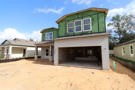 New construction Single-Family house 12008 Hilltop Farms Dr, Dade City, FL 33525 Alenza- photo 50 50