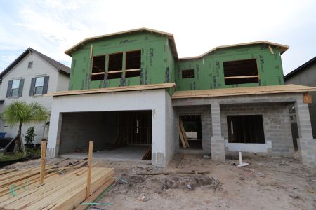 New construction Single-Family house 2536 Sunny Pebble Loop, Zephyrhills, FL 33540 Alenza- photo 3 3