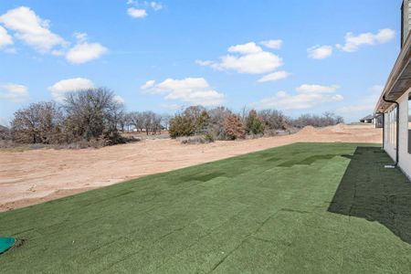 New construction Single-Family house 227 Cr-4690, Boyd, TX 76023 - image 4