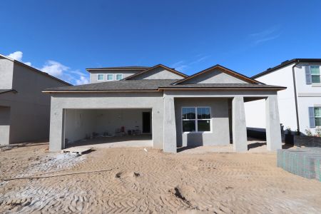 New construction Single-Family house 38413 Pindos Dr, Dade City, FL 33525 Picasso Bonus- photo 97 97