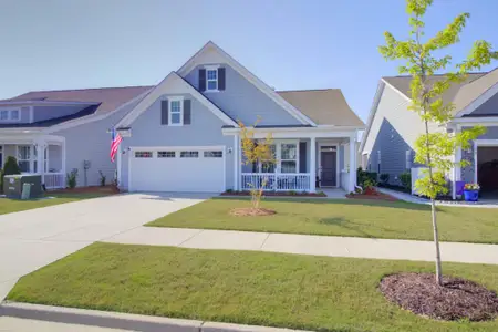 New construction Single-Family house 153 Collared Dove Ct, Summerville, SC 29483 plan Dogwood - image