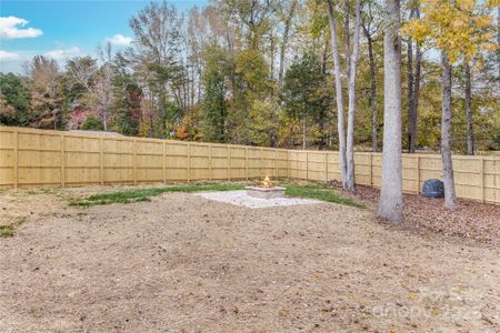 New construction Single-Family house 7039 Executive Cir, Denver, NC 28037 null- photo 31 31