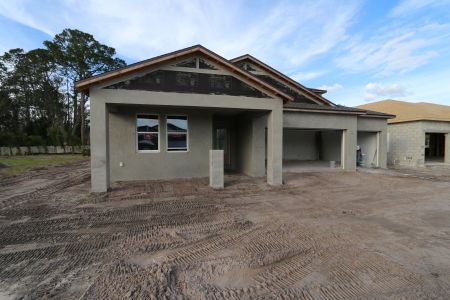 New construction Single-Family house 20243 Oriana Loop, Land O' Lakes, FL 34638 Corina  III Bonus- photo 71 71