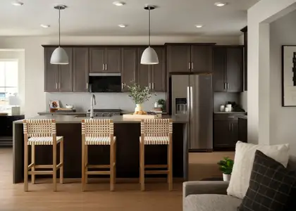 New construction Single-Family house 20736 E 57Th Dr, Aurora, CO 80019 plan 2805 - image 7
