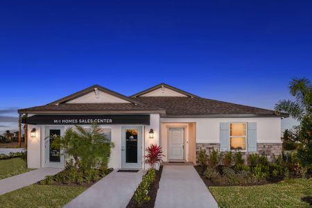 New construction Single-Family house 9982 Last Light Glen, Parrish, FL 34219 Palisades- photo 0