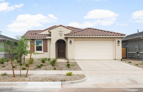 New construction Single-Family house 1438 W Treasure Trl, Apache Junction, AZ 85120 plan Barletta - image