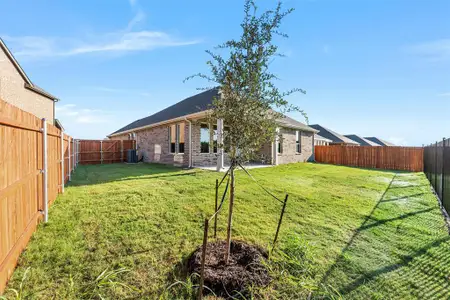 New construction Single-Family house 445 Pickett Creek Dr, Aledo, TX 76008 plan Cascade II - image