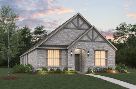 New construction Single-Family house 17044 Mimbre Dr, Justin, TX 76247 plan Meridian - image