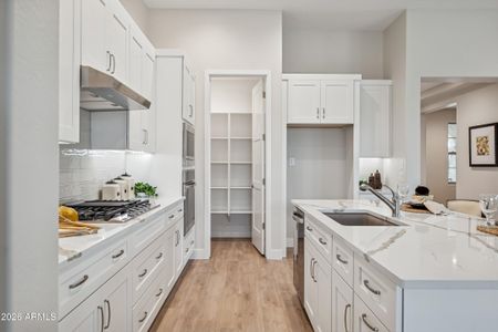 New construction Single-Family house 16729 W Sheila Ln, Goodyear, AZ 85395 plan Mandara - image 11