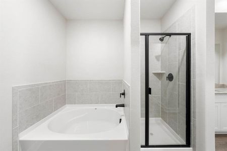 Bathroom featuring vanity and separate shower and garden tub