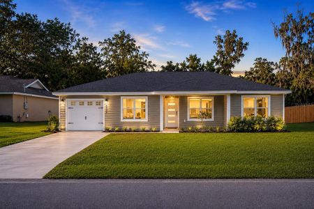 New construction Single-Family house 6938 Se 122Nd Ln, Belleview, FL 34420 - image