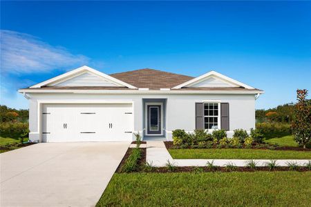 New construction Single-Family house 8884 Wildflower Field Ln, Wildwood, FL 34785 - image