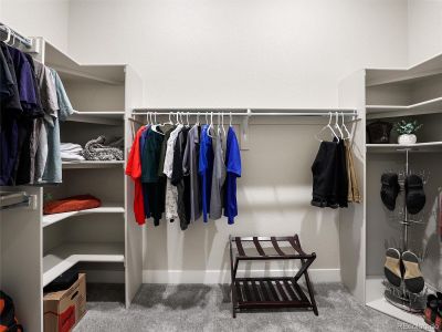 New construction Single-Family house 16015 Mountain Flax Dr, Monument, CO 80132 - image 7