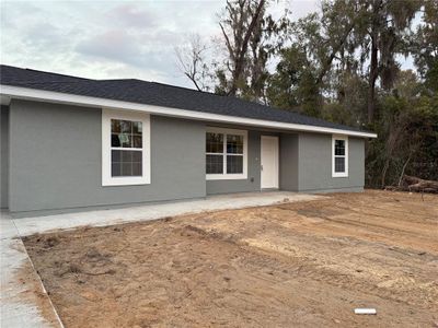 New construction Single-Family house 6 Guava Place Dr, Ocklawaha, FL 32179 - image
