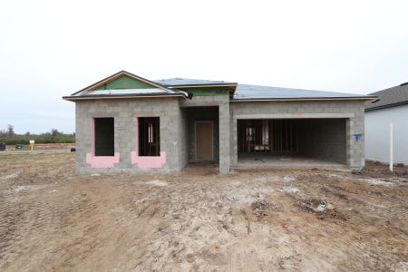 New construction Single-Family house 3164 Adams Cross Dr, Zephyrhills, FL 33540 Marque- photo 11 11