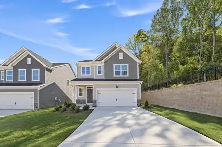 New construction Single-Family house 5300 Cayden Cove Dr, Wendell, NC 27591 plan Davidson - image