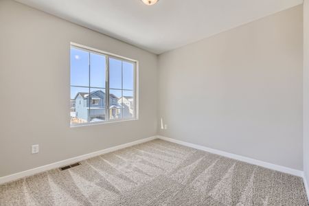 New construction Single-Family house 13832 Honey Hush Trl, Parker, CO 80108 plan Braeburn - image 19