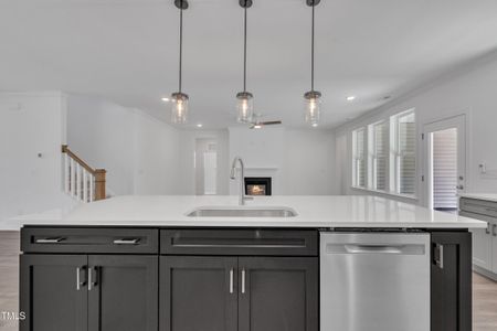 New construction Single-Family house 9152 Dupree Meadow Dr, Unit 12, Angier, NC 27501 - image 13