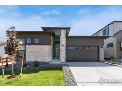 New construction Single-Family house 1633 Winter Glow Dr, Windsor, CO 80550 - image