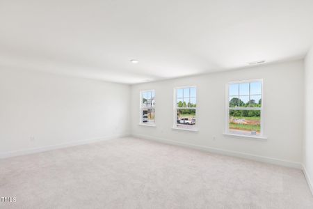 New construction Single-Family house 176 Alden Wy, Angier, NC 27501 plan Townsend - image 15