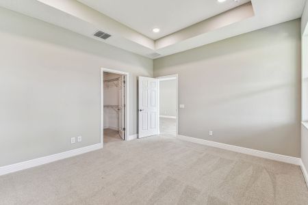 New construction Single-Family house 7571 Painted Sky Place, Land O' Lks, Land O' Lakes, FL 34637 plan Newport II - image 9