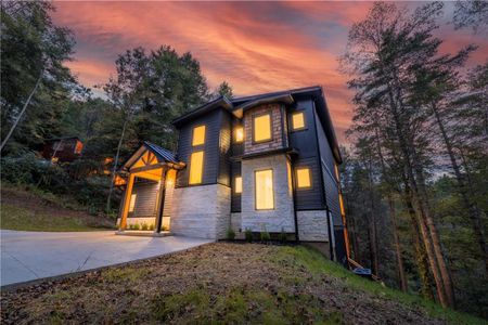 New construction Single-Family house 27 Riverview Ln, Cherry Log, GA 30522 - image