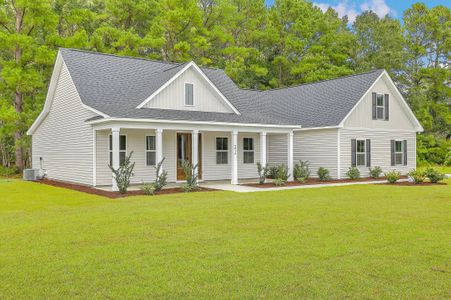 New construction Single-Family house Mitch Lane, Ridgeville, SC 29472 - photo 0