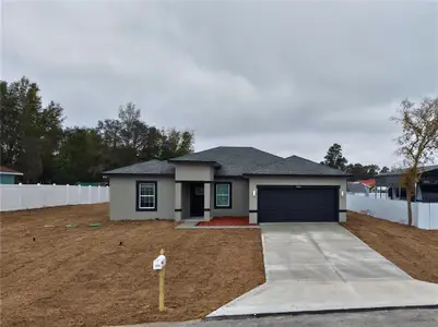 New construction Single-Family house 2520 Sw 155Th Ln, Ocala, FL 34473 - image