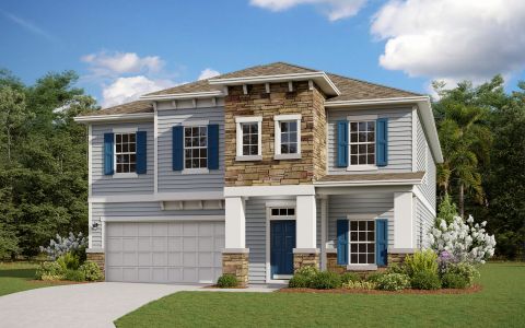 New construction Single-Family house 507 Brook Forest Dr, St. Augustine, FL 32092 plan Wellington - image