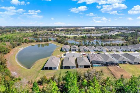 New construction Single-Family house 2304 Seagrass Pt, Kissimmee, FL 34747 Tobago- photo 57 57