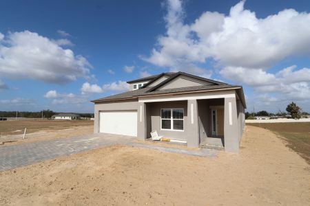 New construction Single-Family house 38357 Palomino Dr, Dade City, FL 33525 Picasso Bonus- photo 5 5