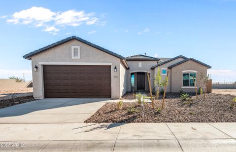 New construction Single-Family house 6795 W Ripken Ct, Florence, AZ 85132 - image