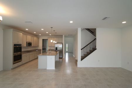 New construction Single-Family house 38433 Pindos Dr, Dade City, FL 33525 Mira Lago- photo 108 108