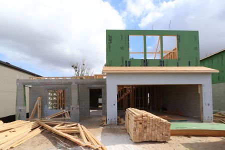 New construction Single-Family house 12146 Hilltop Farms Dr, Dade City, FL 33525 Cabo- photo 11 11