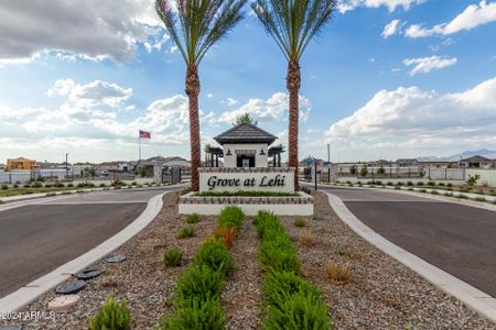 New construction Single-Family house 2458 E Preston Street, Mesa, AZ 85213 - photo 26 26