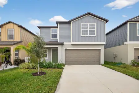 New construction Single-Family house 12651 Maple Bonsai Dr, Riverview, FL 33579 - image