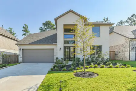 New construction Single-Family house 234 Butterfly Orchid Ct, Willis, TX 77318 plan The Wallace - image