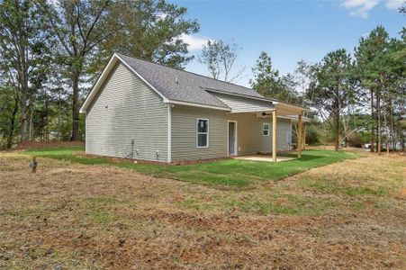 New construction Single-Family house 466 Mount Zion Church Rd, Tallapoosa, GA 30176 - image