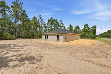 New construction Single-Family house 760 Ne 149 Ct, Williston, FL 32696 - image