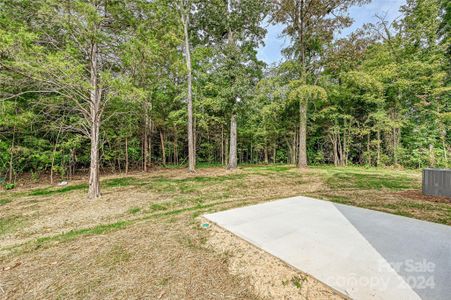 New construction Single-Family house 1242 Lundy Ln, Charlotte, NC 28214 null- photo 25 25