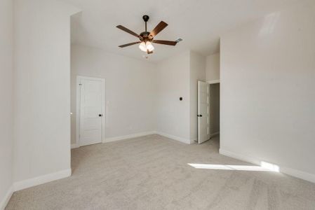 New construction Single-Family house 1329 Sundance Ln, Justin, TX 76247 plan Grand Alexandria - image 16